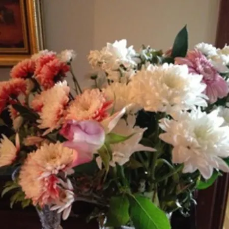 Bed & Breakfast Chelmsford House Lakes Of Killarney